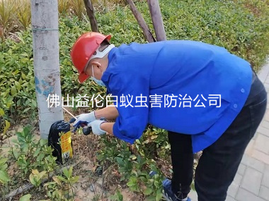 南海丹灶翰林湖生态公园治白蚁