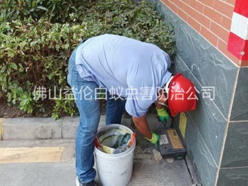 高明安装灭鼠器工程